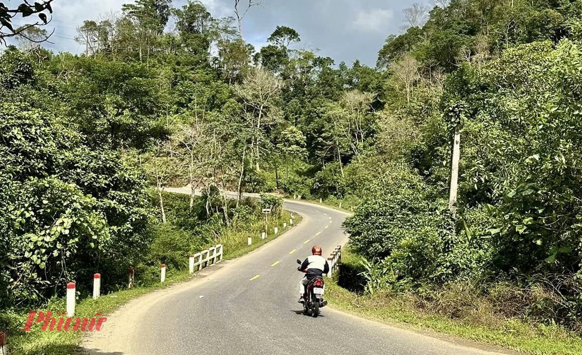 Quảng Ngãi xin trung ương 2.350 tỉ đồng nâng cấp đường đi qua đèo Violak lên Măng Đen