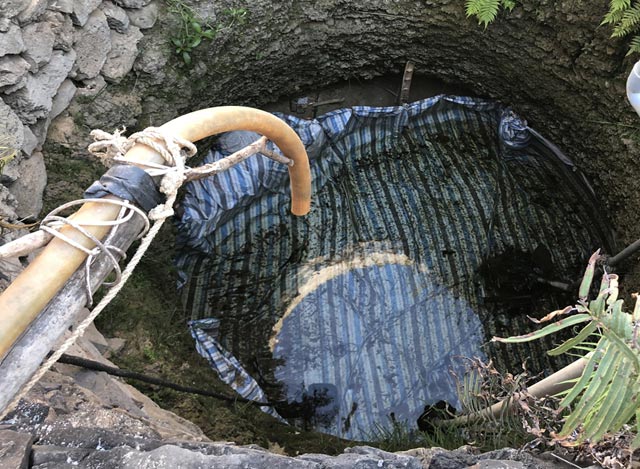 Dân đảo tỏi 