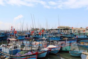 Đề xuất hỗ trợ vốn nâng cấp cảng cá đủ điều kiện xác nhận nguồn gốc thủy sản