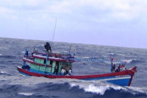 Bão số 5 sắp vào, hơn 5.000 ngư dân Quảng Ngãi vẫn trên biển