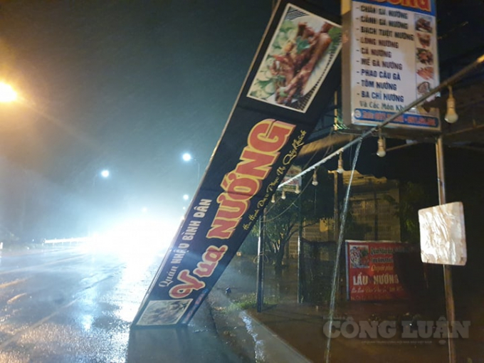 Quảng Ngãi: Bão số 5 chưa vào đất liền, hàng loạt cây xanh bị xới tung gốc