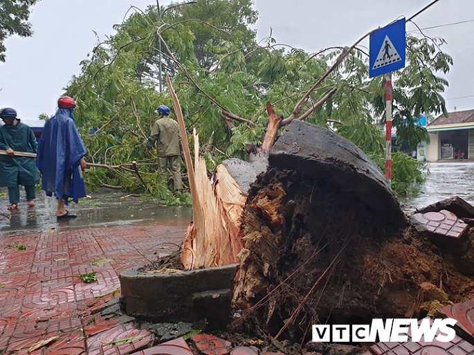Ảnh hưởng bão số 5, hàng trăm hecta cây trồng của nông dân Quảng Ngãi bị nhấn chìm trong biển nước