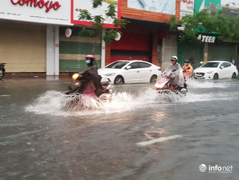 7h ngày 3/11 – 7h ngày 4/11: Đà Nẵng đến Quảng Ngãi có mưa vừa, mưa to
