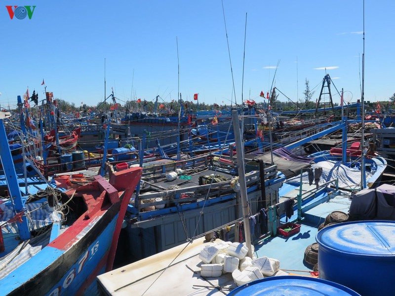 Nhiều tàu cá ở Quảng Ngãi bị kẹt trong âu tàu sau bão số 6