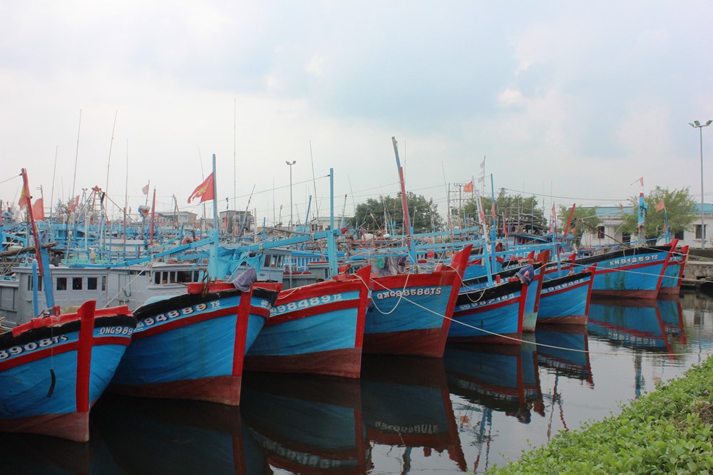 Quảng Ngãi khẩn trương ứng phó, đảm bảo an toàn trước bão số 6