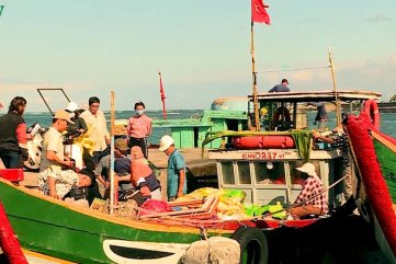 Đảo Bé- Lý Sơn bị cô lập, cấp gạo khẩn cứu đói cho dân