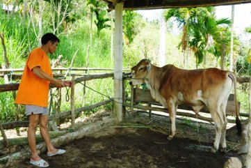 Tăng tổng mức đầu tư dự án giảm nghèo tại Quảng Ngãi