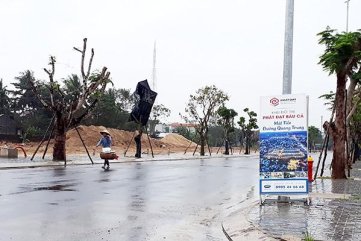 Quảng Ngãi lại tính thu nhiều hecta đất lúa cho doanh nghiệp làm bất động sản
