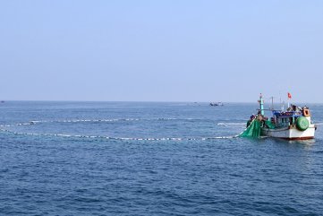 Quảng Ngãi phát triển kinh tế thủy sản bền vững