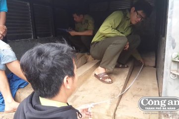 Truy bắt xe chở "gỗ lậu"