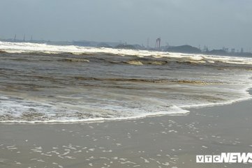 Cận cảnh biển Quảng Ngãi nhuốm màu đen nâu bất thường