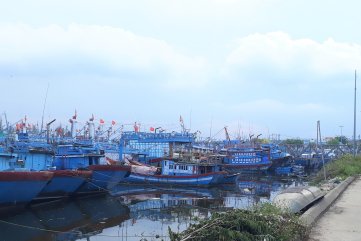 Nhiều tàu cá tiền tỉ bị chủ tàu bỏ rơi