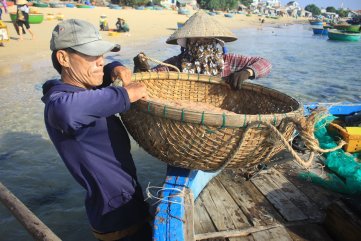 Ngư dân Quảng Ngãi trúng đậm mùa ruốc biển
