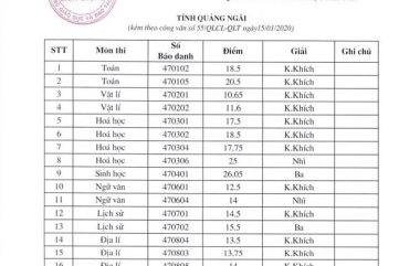 QUẢNG NGÃI: 18 HỌC SINH ĐẠT HỌC SINH GIỎI QUỐC GIA