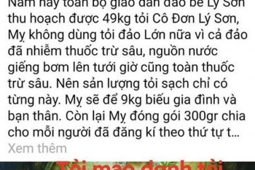 Quảng Ngãi: Fecabooker tung tin thất thiệt liên quan tỏi Lý Sơn