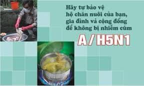 THỦ TƯỚNG NGUYỄN XUÂN PHÚC CHỈ ĐẠO PHÒNG CHỐNG DỊCH CÚM A(H5N1)