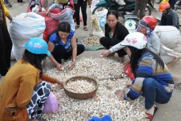 BỘ CÔNG AN ĐÃ NHẬN VĂN BẢN ĐỀ NGHỊ XÁC MINH VỤ LƯƠNG HOÀNG ANH TUNG TIN THẤT THIỆT VỀ TỎI LÝ SƠN
