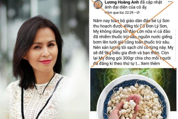PHẠT 12,5 TRIỆU ĐỒNG ĐỐI VỚI LƯƠNG HOÀNG ANH TUNG TIN THẤT THIỆT VỀ TỎI LÝ SƠN