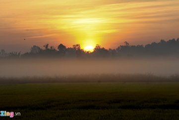 'Bức tranh quê' thanh bình giữa màn sương sớm tháng 2
