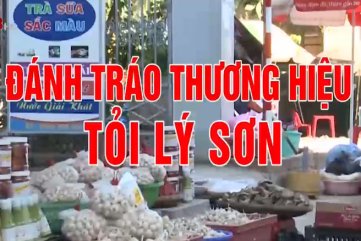 Đưa tỏi ra đảo Lý Sơn - Hành vi đánh tráo thương hiệu