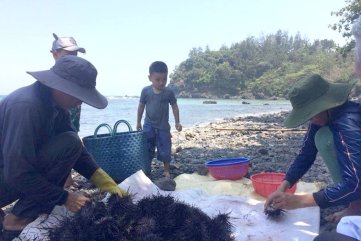 Dự án FLC tại Quảng Ngãi: Chọn dân chứ không phải nhà đầu tư nào, dự án lớn hay nhỏ