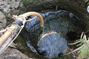 Dân đảo tỏi "gom trứng vào một giỏ", chắt chiu từng "giọt vàng"