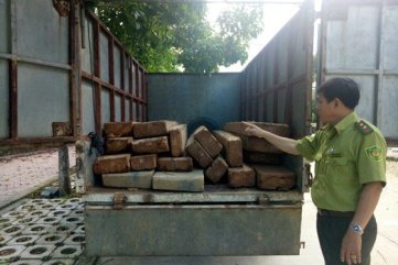 Chở gỗ lậu, tài xế để lại xe bỏ trốn