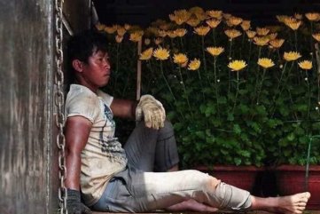 Xin đừng đợi đến đêm 30 mới mua Hoa Tết !?