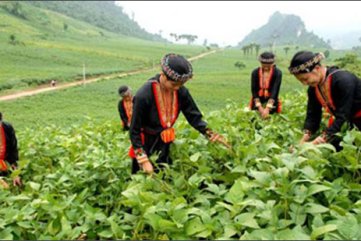 Hơn 2.664,3 tỷ đồng từ ngân sách địa phương để thực hiện chương trình giảm nghèo