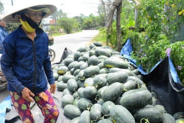 Trung Quốc gây bất ngờ: Thế mạnh Việt Nam tụt đáy