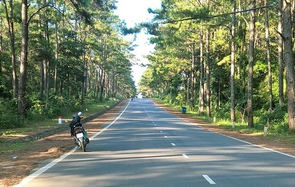 Quảng Ngãi sẵn sàng làm cao tốc, sân bay Lý Sơn, Măng Đen