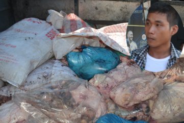 Xe tải vận chuyển gần 2 tấn nội tạng động vật hôi thối