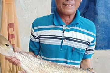 Ngư dân Bình Sơn "săn" được cá sủ vàng quý hiếm