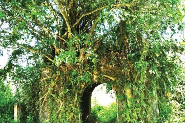 Căn cứ Truyền Tung-Đình Thọ An: Dấu xưa còn mãi
