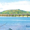 Tin tức Cập nhật