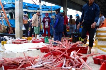 Về Quảng Ngãi thưởng thức đặc sản cá tào lao