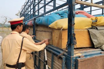 CSGT bắt ô tô chở 32 hộp gỗ lậu giấu lớp trấu