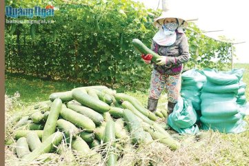 Đề án "Mỗi xã một sản phẩm": Nhiều nỗi lo