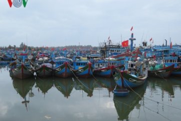 Quảng Ngãi chấm dứt tình trạng khai thác thủy sản bất hợp pháp