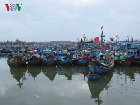 Quảng Ngãi chấm dứt tình trạng khai thác thủy sản bất hợp pháp