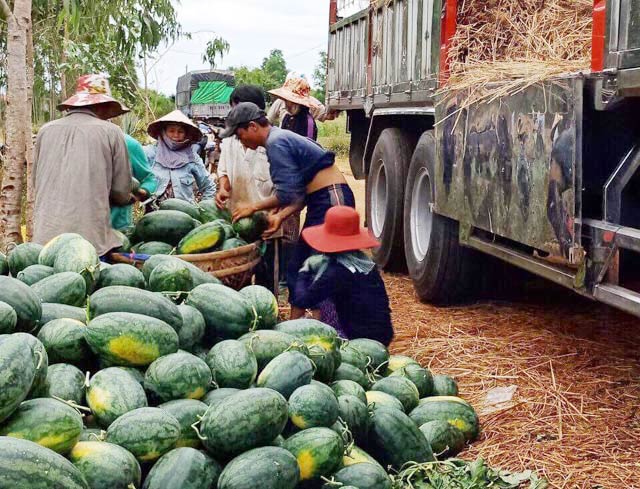 Lạ: Lần đầu tiên tổ chức lễ hội dưa hấu tại 