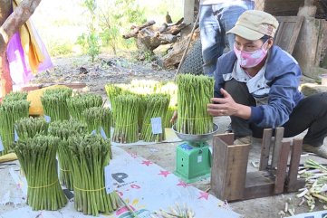 Quảng Ngãi thu hút đầu tư về nông thôn